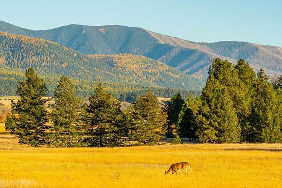 20 Acres of Agricultural Land for Sale in Eureka, Montana