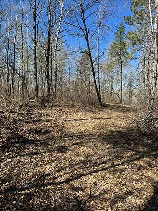 10 Acres of Residential Land for Sale in Nevis, Minnesota