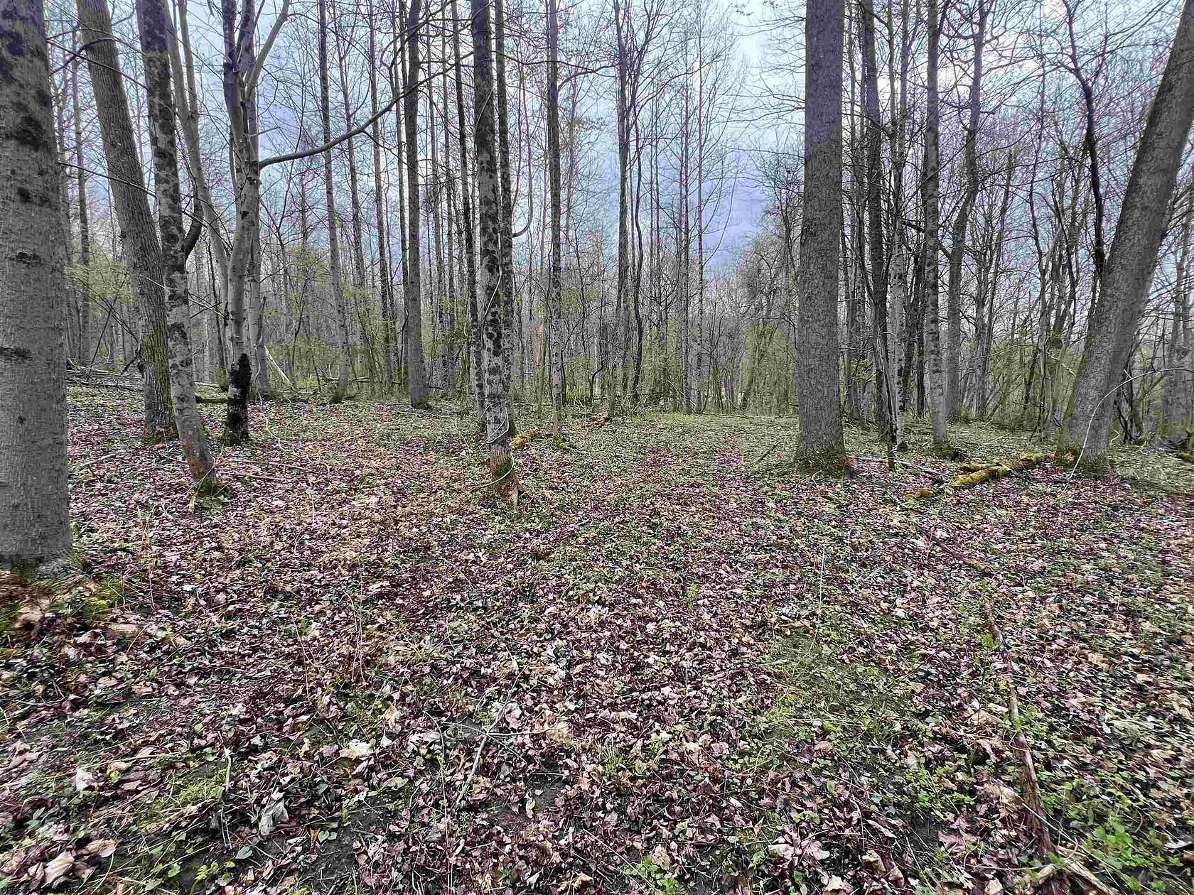 1.77 Acres of Residential Land for Sale in Fairmont, West Virginia