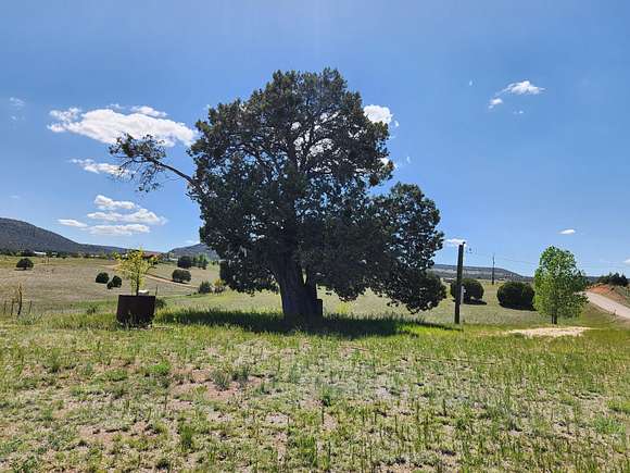 4.6 Acres of Land for Sale in Young, Arizona