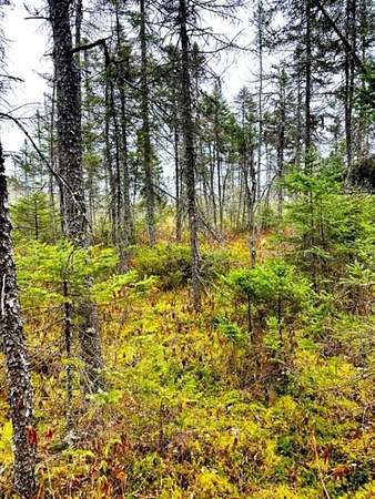 114 Acres of Recreational Land for Sale in Phillips, Wisconsin