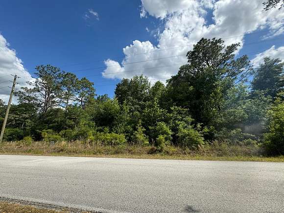 0.99 Acres of Residential Land for Sale in Dunnellon, Florida