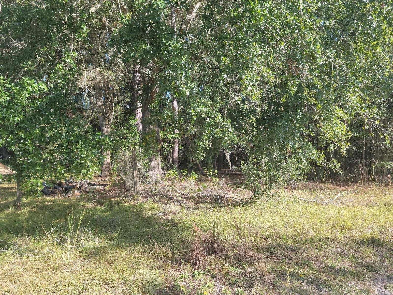 5 Acres of Residential Land for Sale in Newberry, Florida