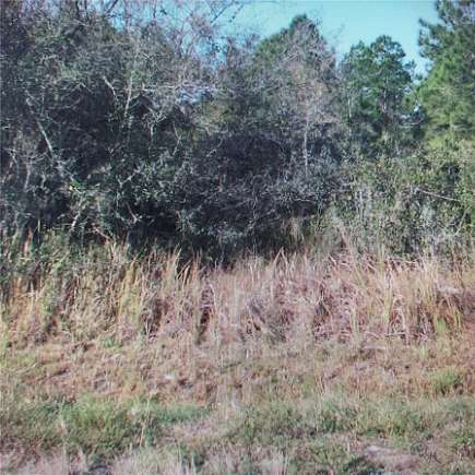 1 Acre of Land for Sale in Lake Wales, Florida