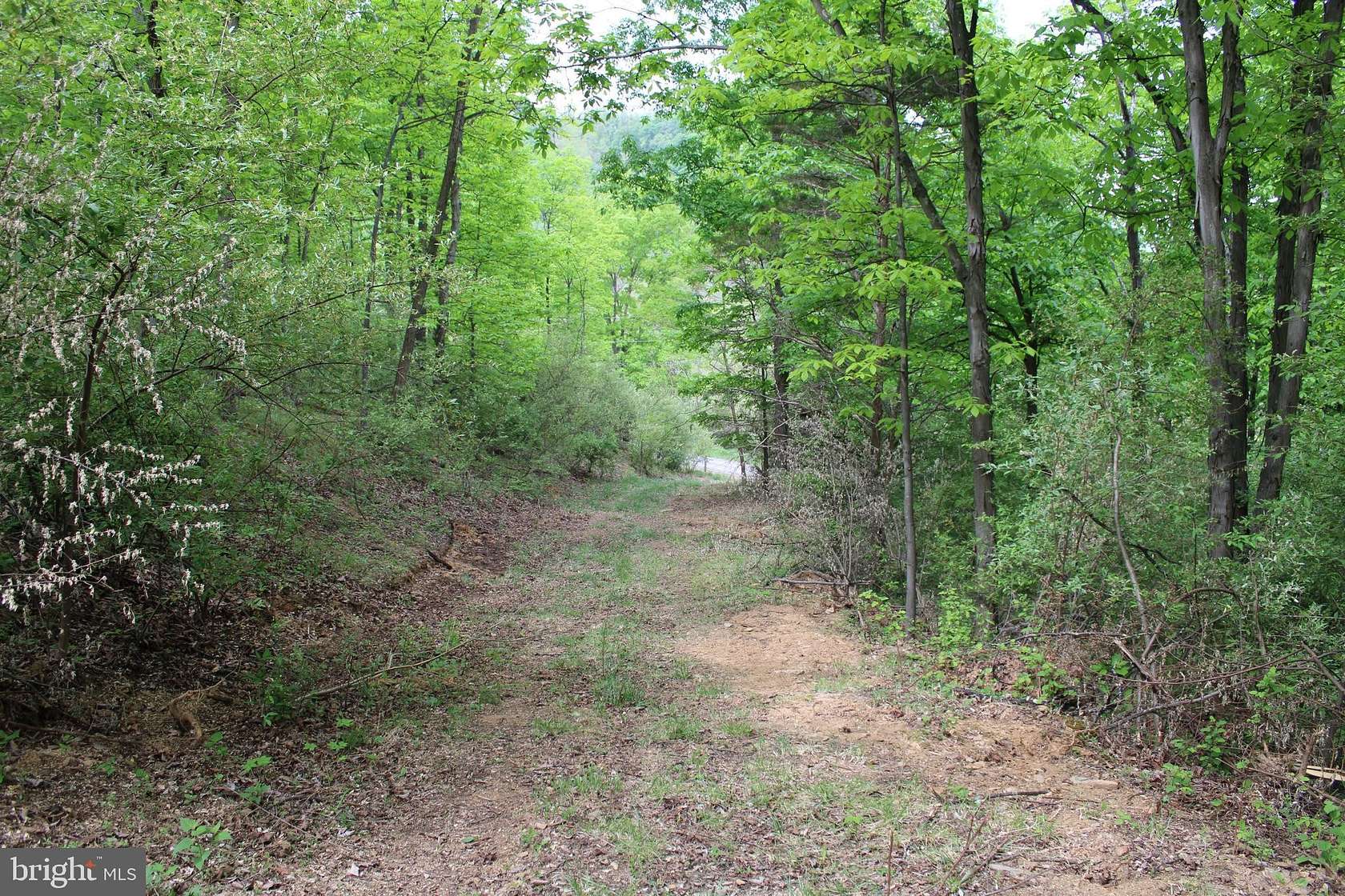10.2 Acres of Recreational Land for Sale in Purgitsville, West Virginia