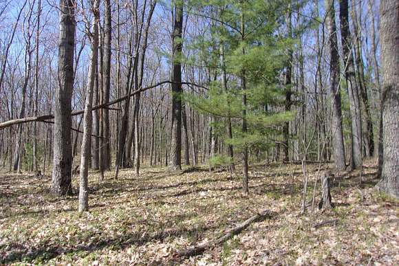 10 Acres of Land for Sale in Harrison, Michigan