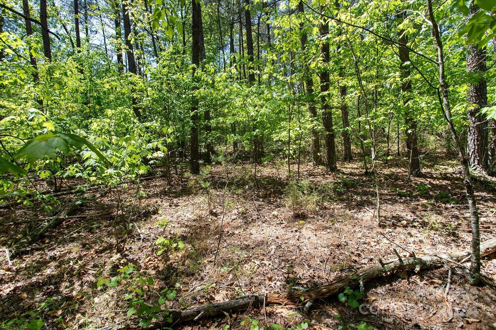 1.12 Acres of Residential Land for Sale in Rutherfordton, North Carolina