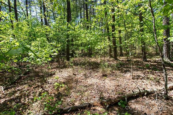 1.12 Acres of Residential Land for Sale in Rutherfordton, North Carolina