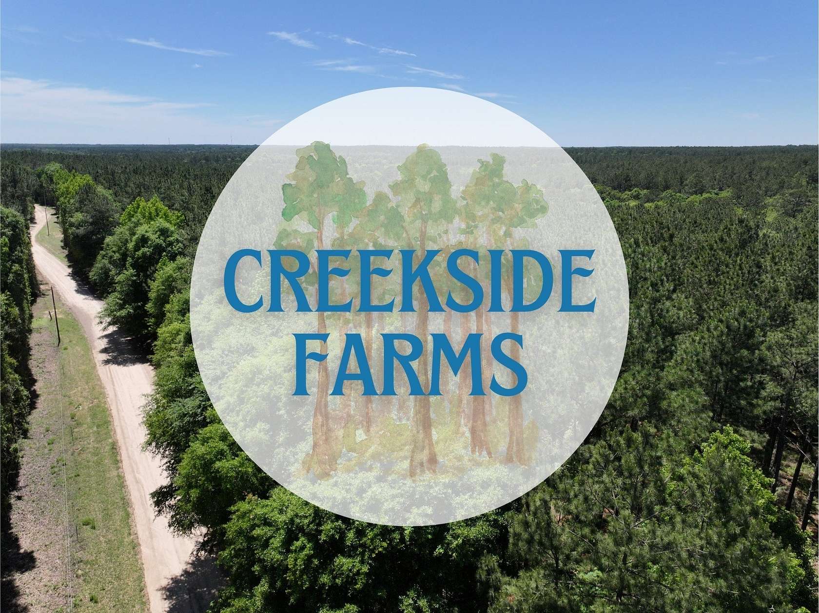 4.24 Acres of Land for Sale in Livingston, Texas
