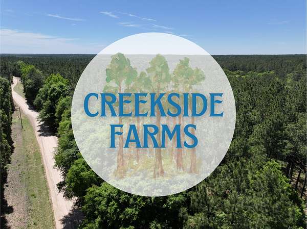4.24 Acres of Land for Sale in Livingston, Texas