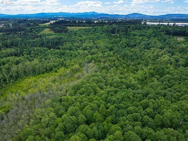 19.7 Acres of Recreational Land for Sale in Winlock, Washington