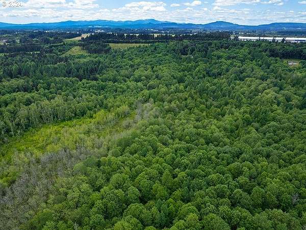 19.7 Acres of Recreational Land for Sale in Winlock, Washington