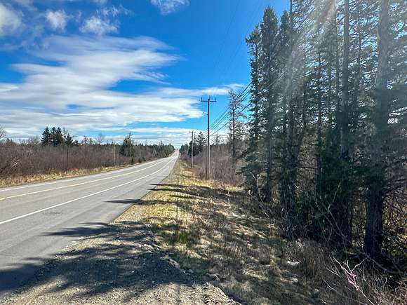 94 Acres of Land for Sale in Whiting, Maine