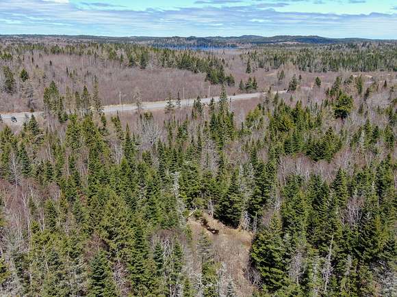 94 Acres of Recreational Land & Farm for Sale in Whiting, Maine