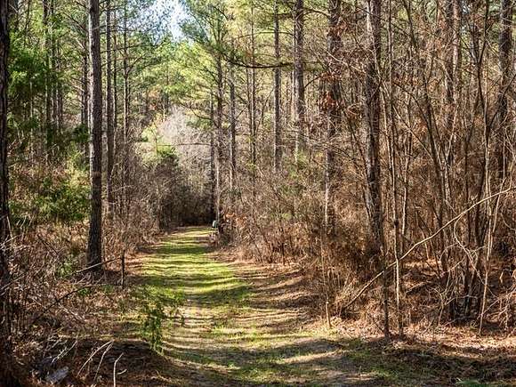 456 Acres of Recreational Land & Farm for Sale in Kilmichael, Mississippi