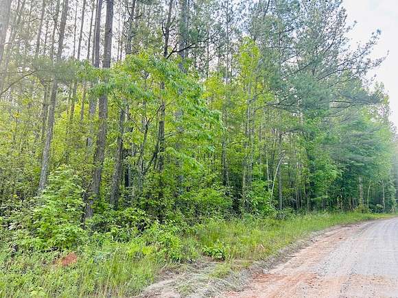 32.4 Acres of Recreational Land for Sale in Whitesburg, Georgia