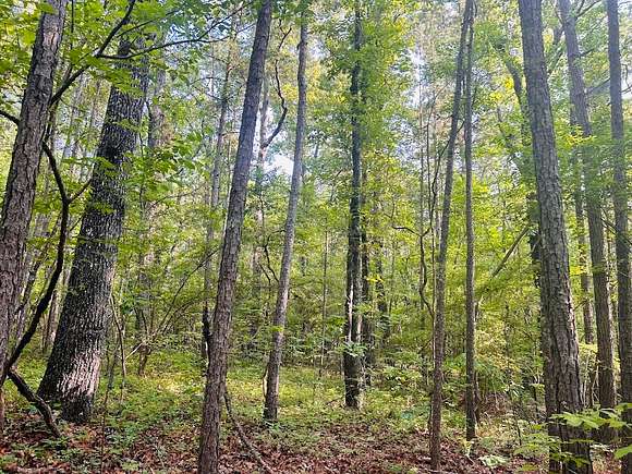 20 Acres of Land for Sale in Whitesburg, Georgia