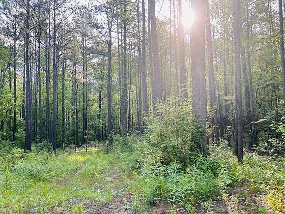 8.5 Acres of Land for Sale in Whitesburg, Georgia