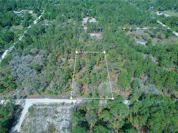 1.3 Acres of Residential Land for Sale in Morriston, Florida
