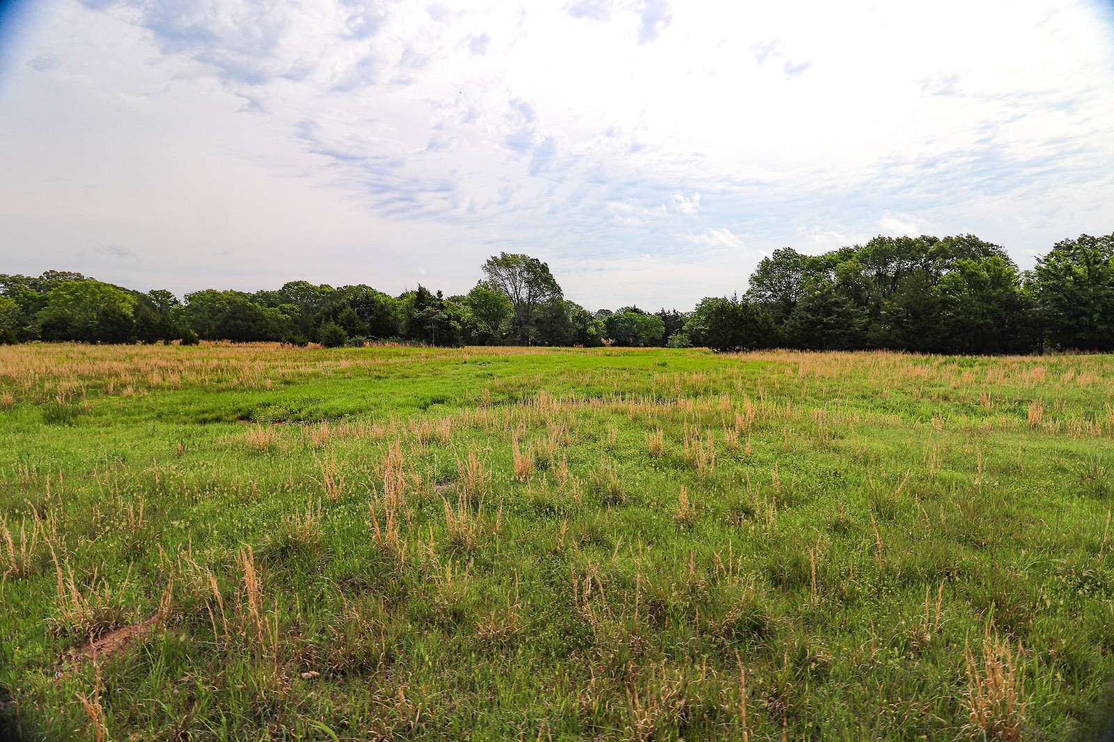 40 Acres of Recreational Land for Sale in Atoka, Oklahoma