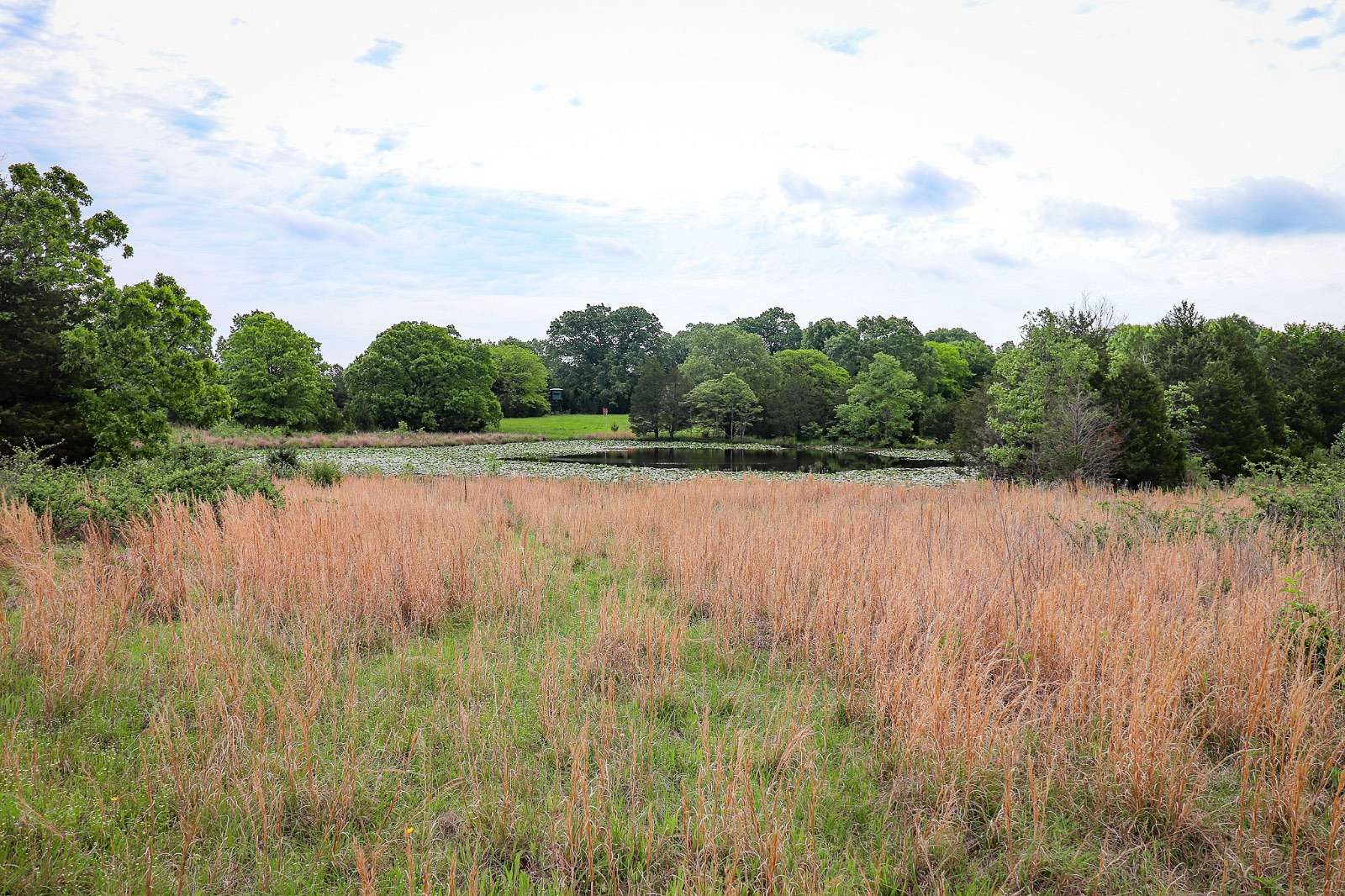 40 Acres of Land for Sale in Atoka, Oklahoma