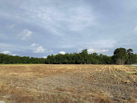 22.3 Acres of Recreational Land for Sale in Scranton, South Carolina