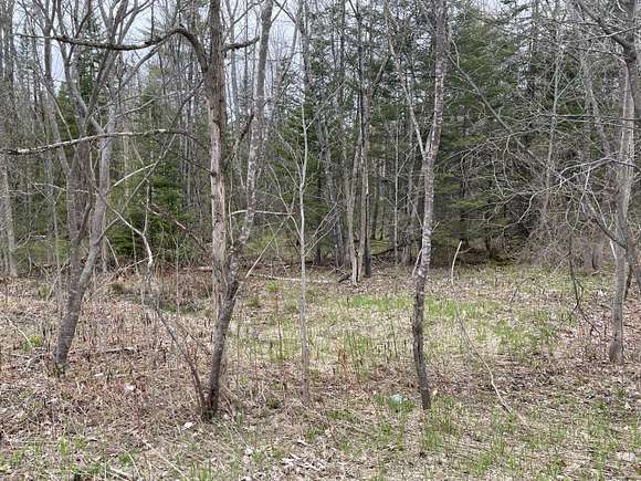 33 Acres of Land for Sale in Oxford, Maine