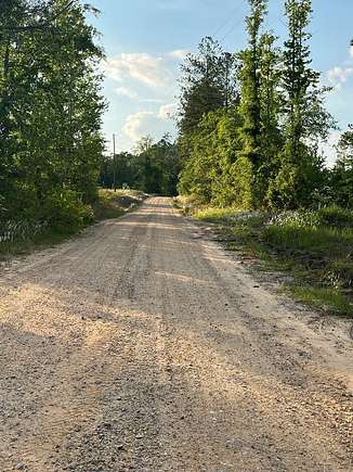 22 Acres of Recreational Land for Sale in Waynesboro, Mississippi