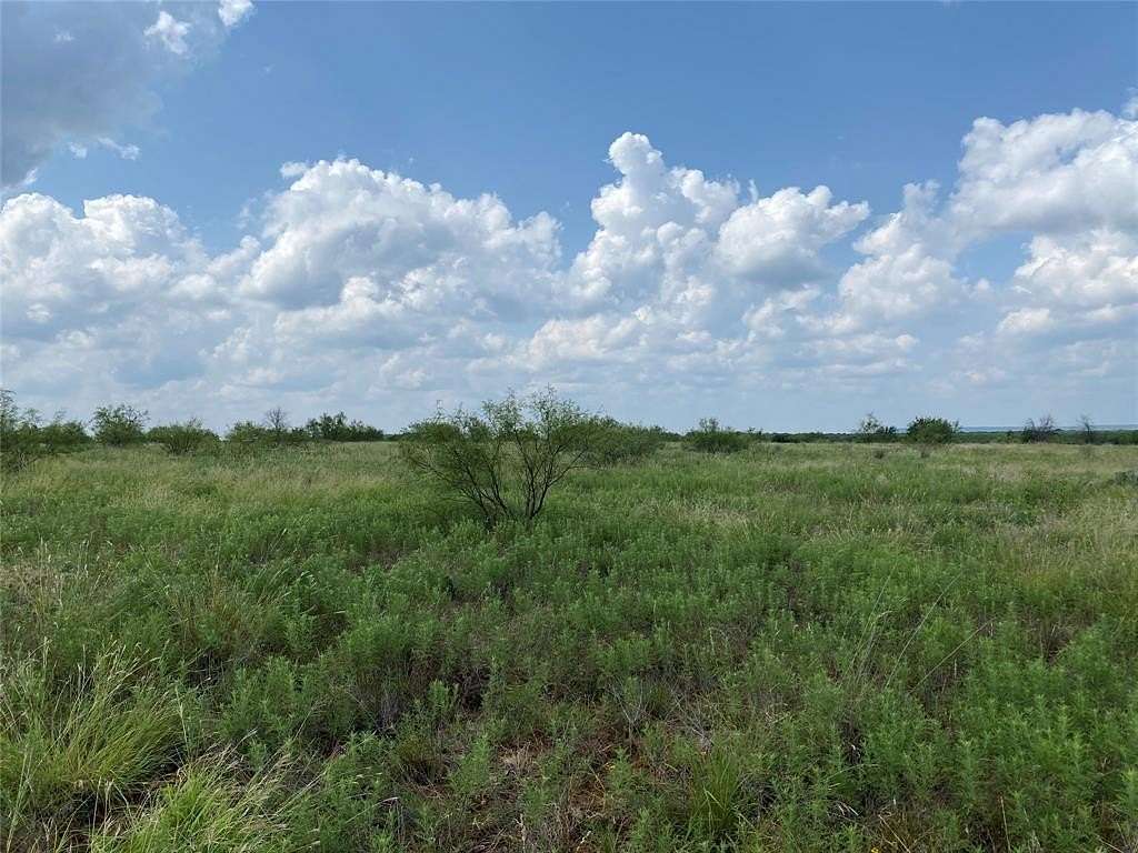 0.44 Acres of Land for Sale in Graford, Texas