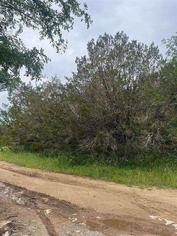 0.1 Acres of Residential Land for Sale in Granbury, Texas