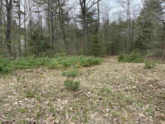 Residential Land for Sale in Andover, Vermont