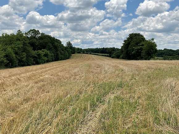 13 Acres of Land for Sale in Maysville, Kentucky