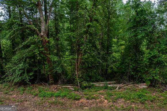 10 Acres of Land for Sale in Thomson, Georgia