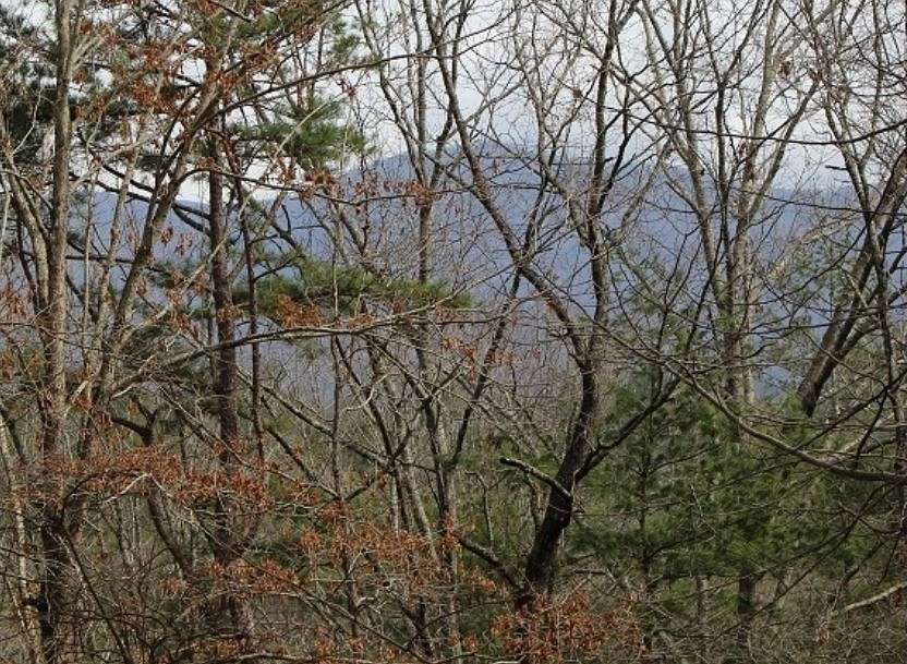 1.1 Acres of Residential Land for Sale in Ellijay, Georgia