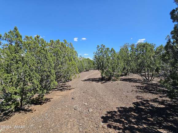 4.2 Acres of Residential Land for Sale in Show Low, Arizona