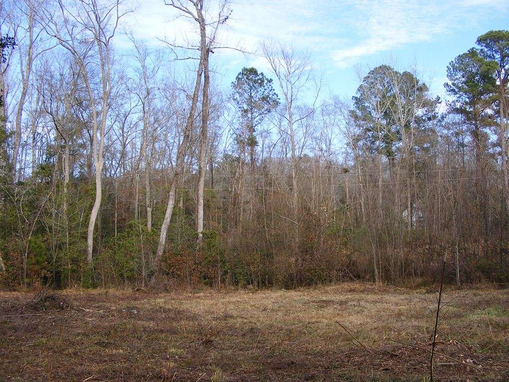6.8 Acres of Land for Sale in Swansea, South Carolina