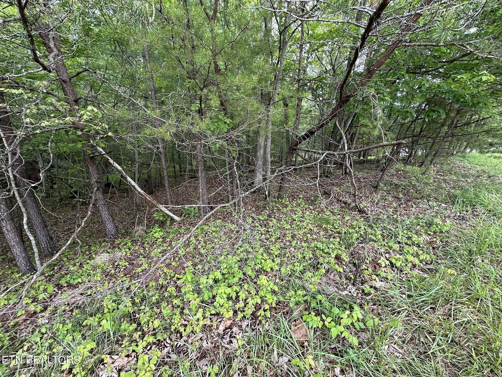 0.42 Acres of Residential Land for Sale in Fairfield Glade, Tennessee