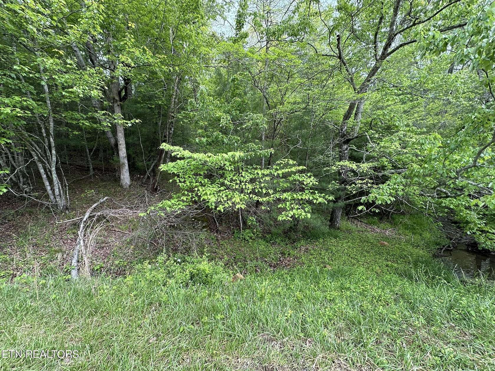 0.57 Acres of Residential Land for Sale in Fairfield Glade, Tennessee