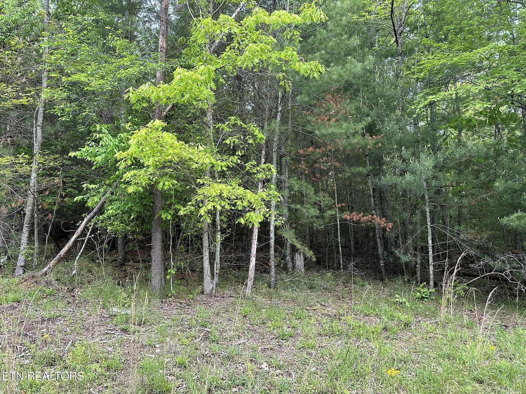 0.36 Acres of Residential Land for Sale in Fairfield Glade, Tennessee