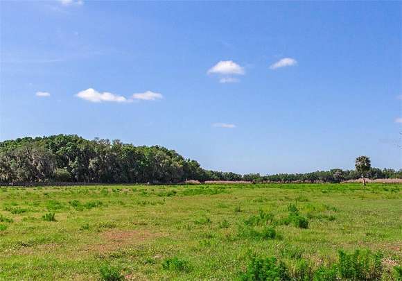42.4 Acres of Land for Sale in Lithia, Florida