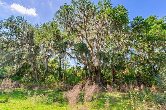 13.8 Acres of Recreational Land & Farm for Sale in Lithia, Florida