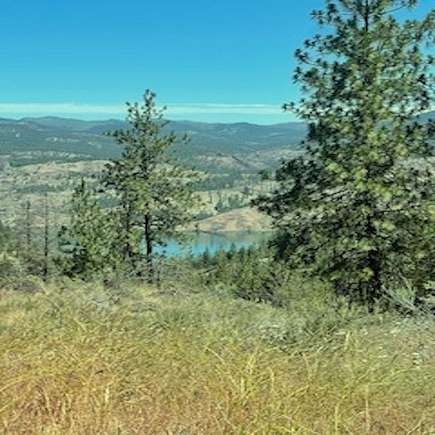 20.9 Acres of Recreational Land for Sale in Davenport, Washington