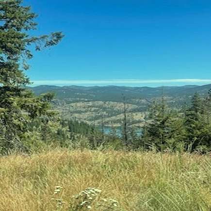 24.7 Acres of Recreational Land for Sale in Davenport, Washington