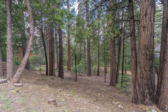 0.33 Acres of Residential Land for Sale in Dorrington, California