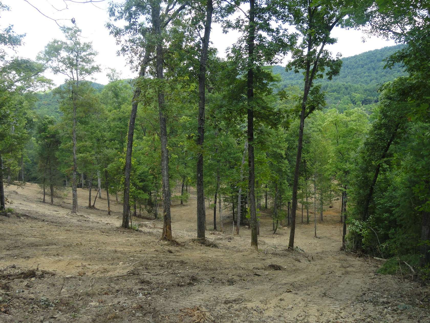 14.73 Acres of Land for Sale in Reliance, Tennessee