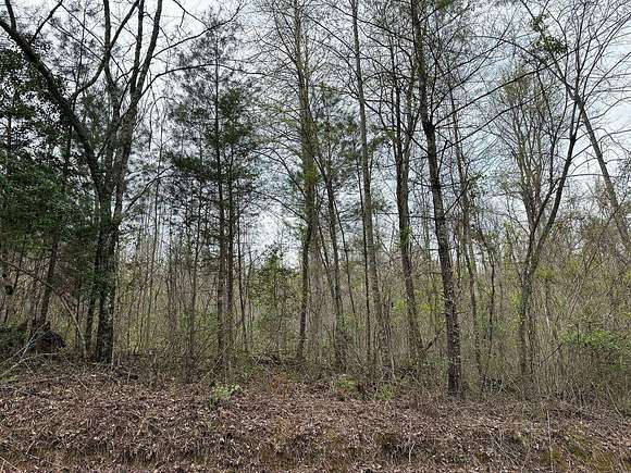 14.7 Acres of Land for Sale in Reliance, Tennessee