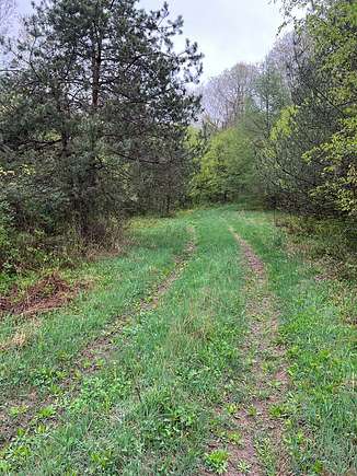 125 Acres of Recreational Land for Sale in Canton, Pennsylvania