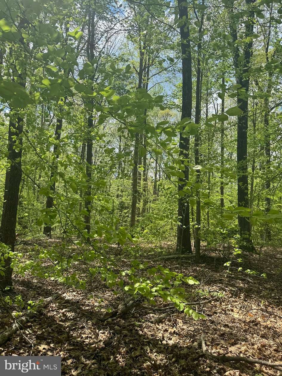 2 Acres of Land for Sale in Mineral, Virginia