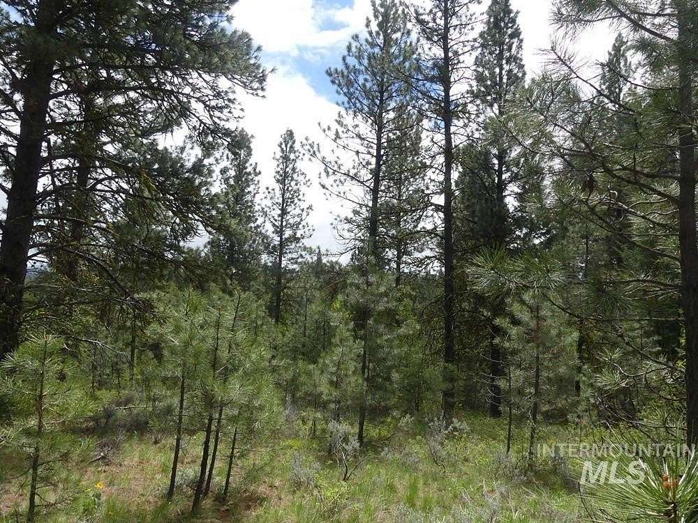 0.86 Acres of Residential Land for Sale in Cascade, Idaho