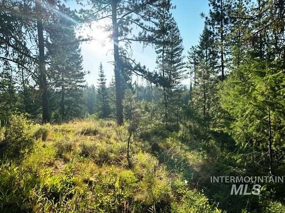0.86 Acres of Residential Land for Sale in Cascade, Idaho